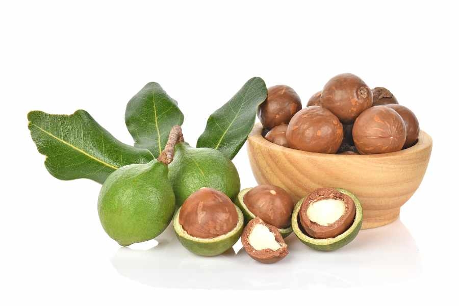 hạt macca - hình 1