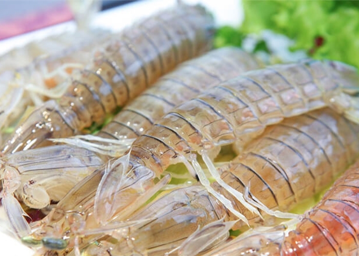 Tìm hiểu chung về tôm tích