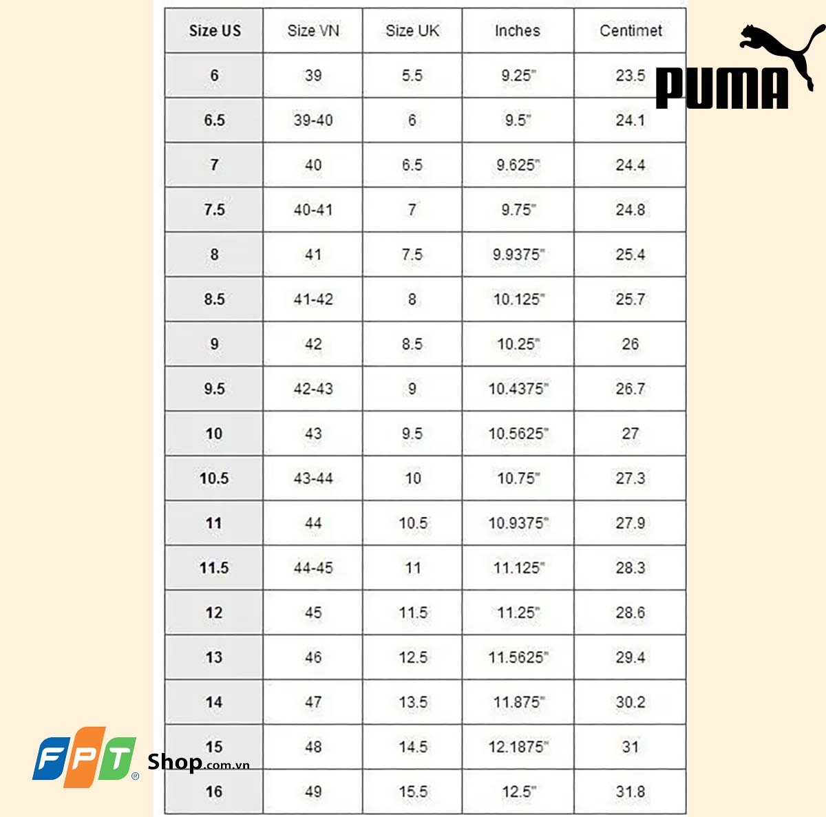 size giày - hình 5