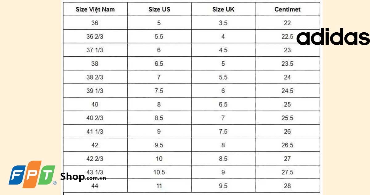 size giày - hình 8