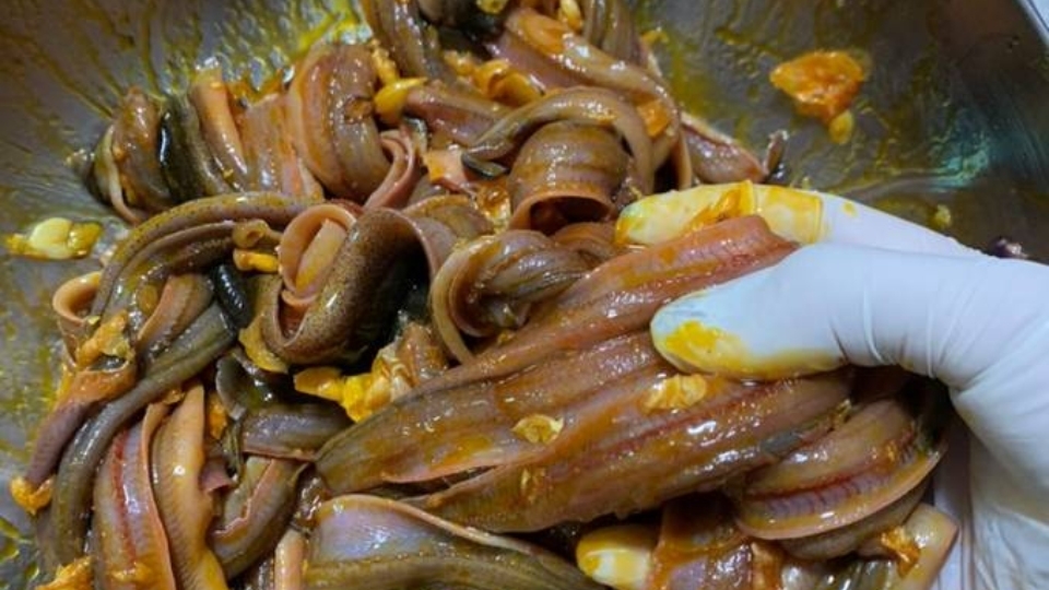 nấu món súp lươn cực ngon