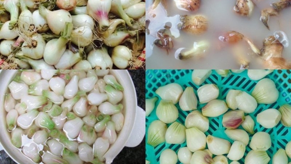 nấu món súp lươn cực ngon