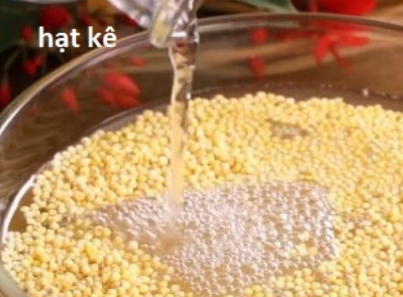 Ngâm hạt kê cho nở
