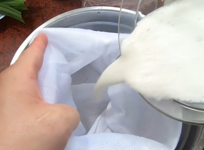 Vắt lấy nước sen