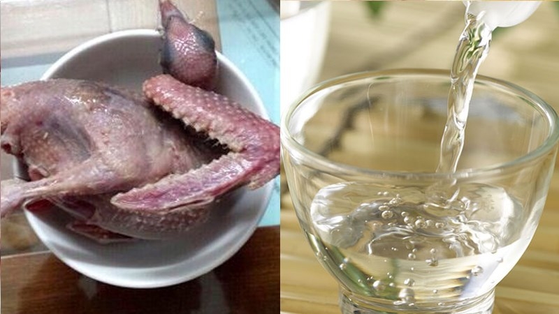 Khử sạch mùi hôi của chim bồ câu