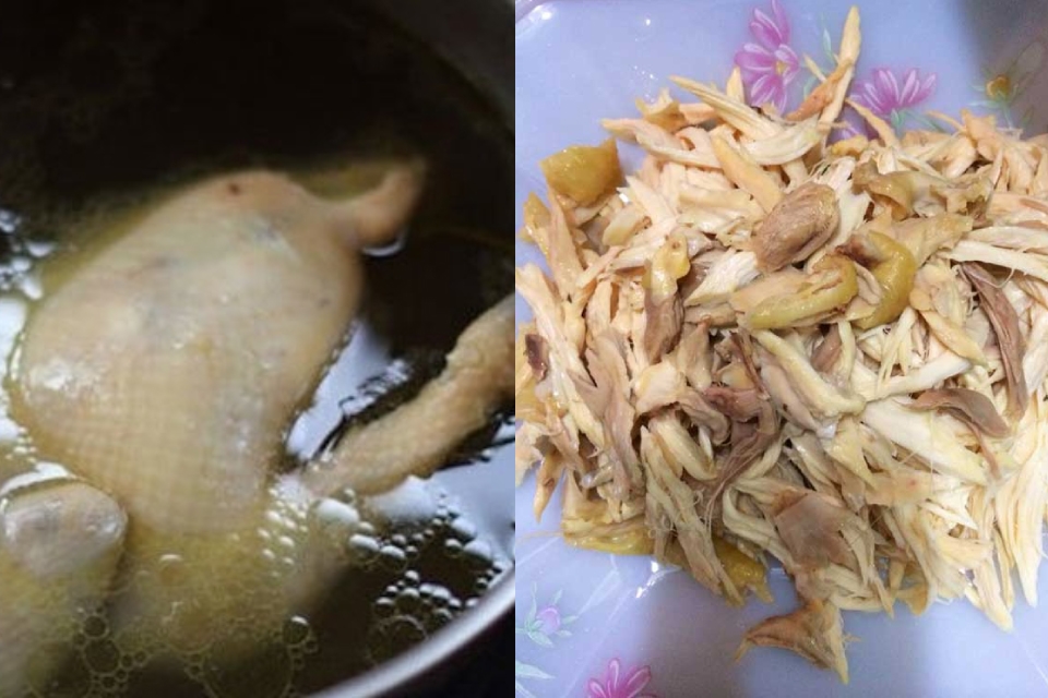 Gà sau khi rửa sạch sẽ được luộc, xé phay