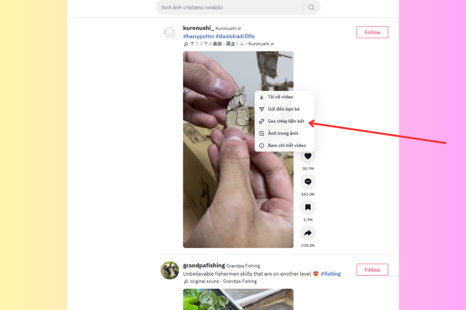 Sao chép link đoạn video cần tách nhạc