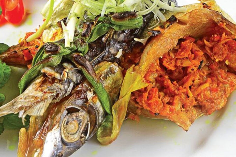 Cá chuồn chiên nghệ