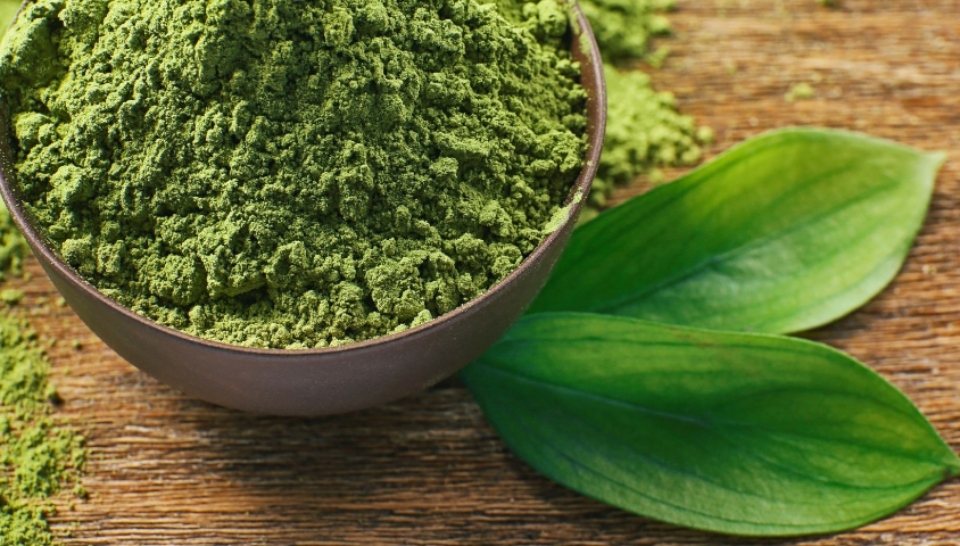 Những kinh nghiệm chọn bột trà xanh tốt