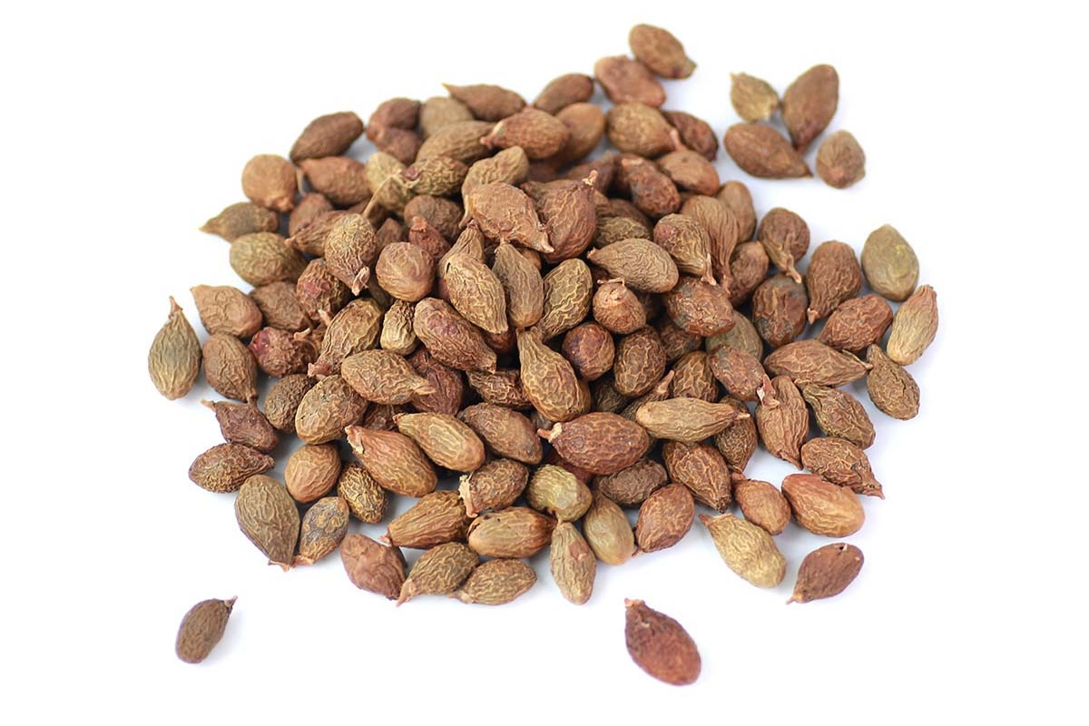 hạt ươi là gì - hình 1