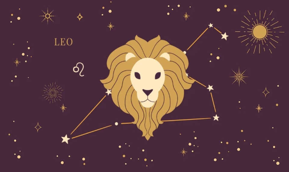 Đánh giá chung về công việc của cung Sư Tử nữ