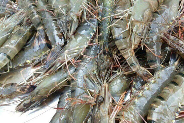 Vào bếp làm tôm rang me đậm đà (Hình 2)