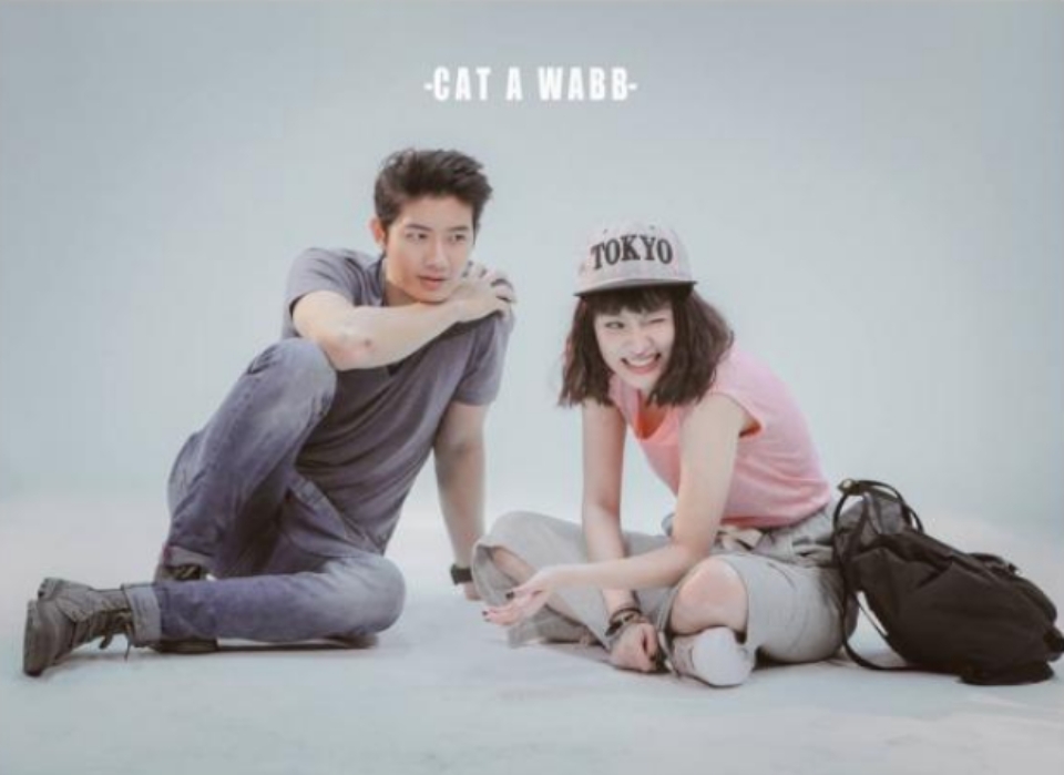 Mèo Mai Mối - Câu chuyện tình yêu thú vị