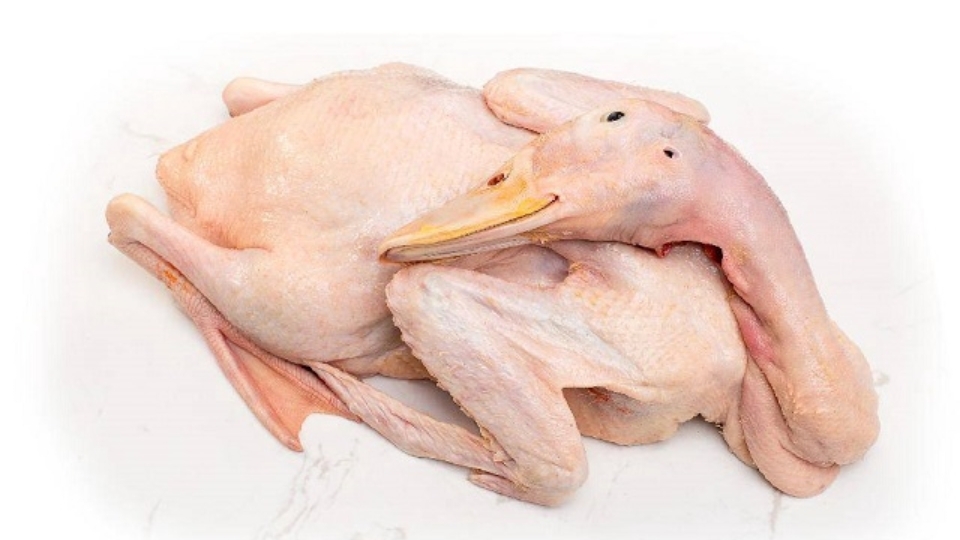 cách nấu bún ngan ngon (ảnh 4)