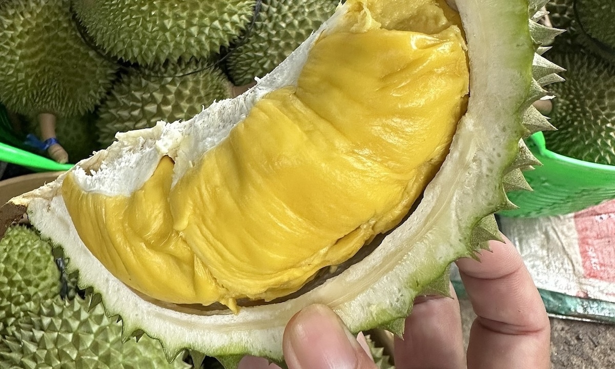 sầu riêng bao nhiêu calo - hình 2