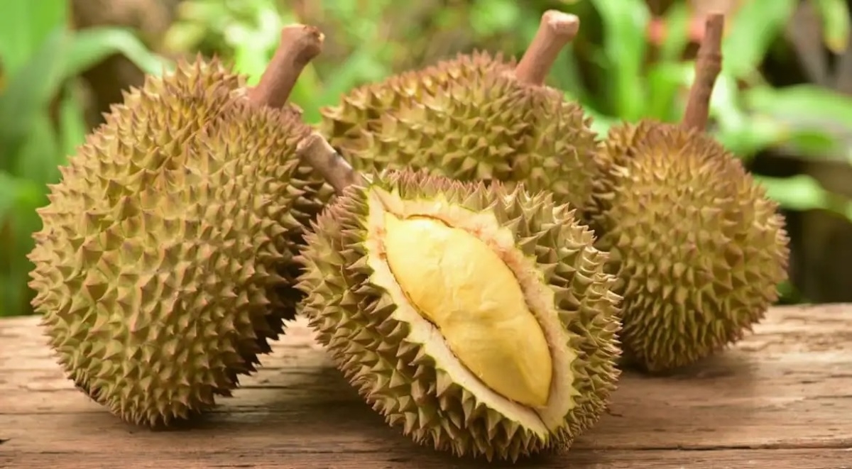 sầu riêng bao nhiêu calo - hình 4