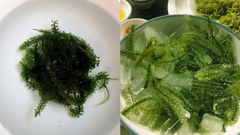 sơ chế rong nho tách nước