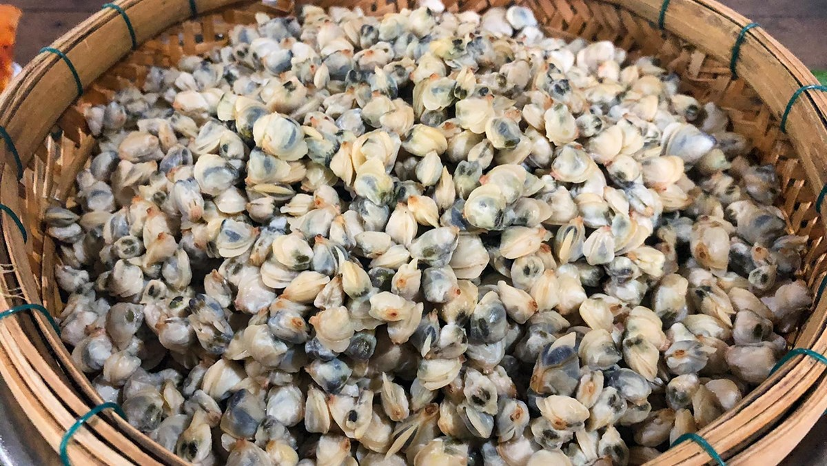 cách làm hến xúc bánh đa (ảnh 2)