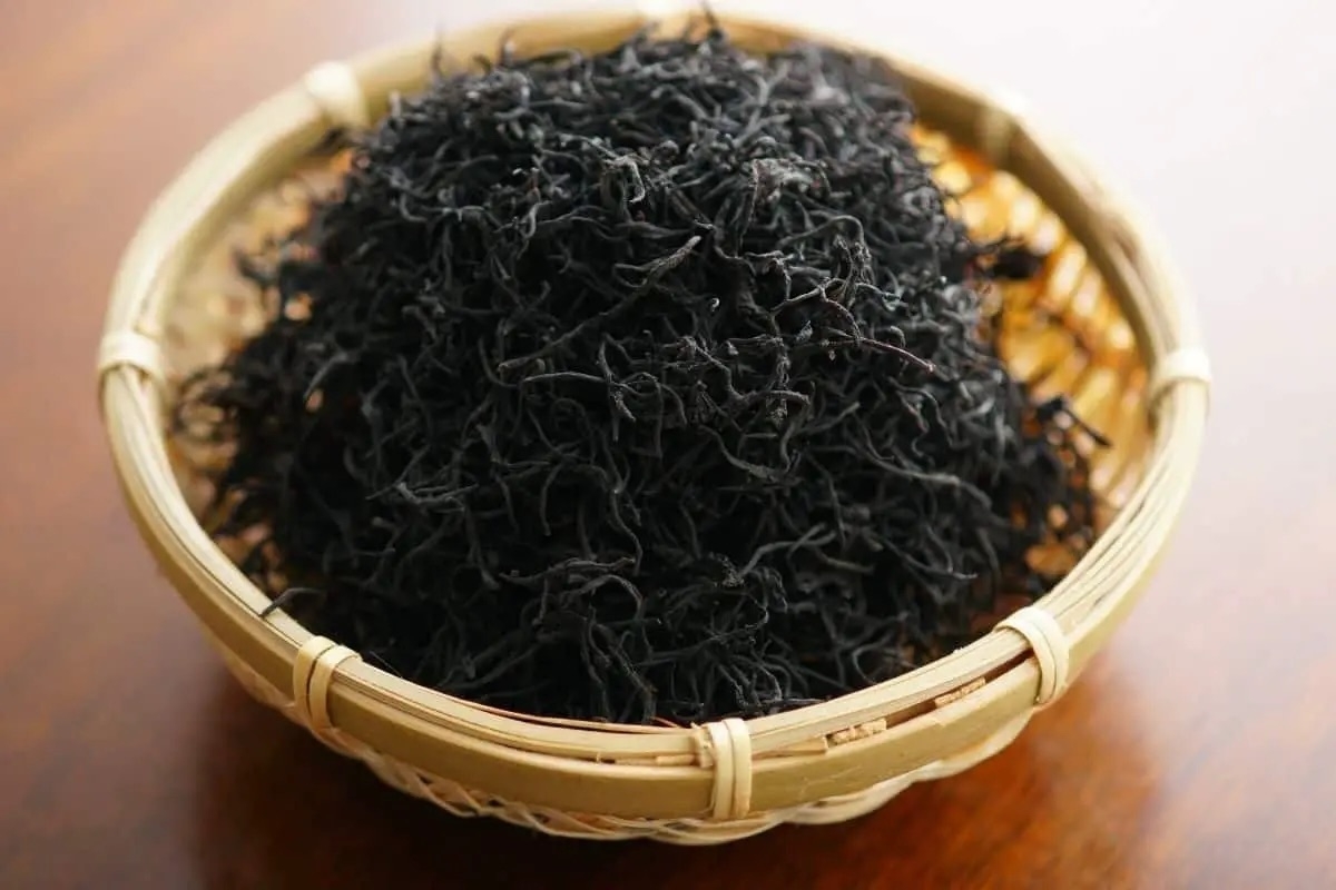 rong biển - hình 3