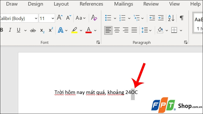 Thêm độ c trong Word - hình 5