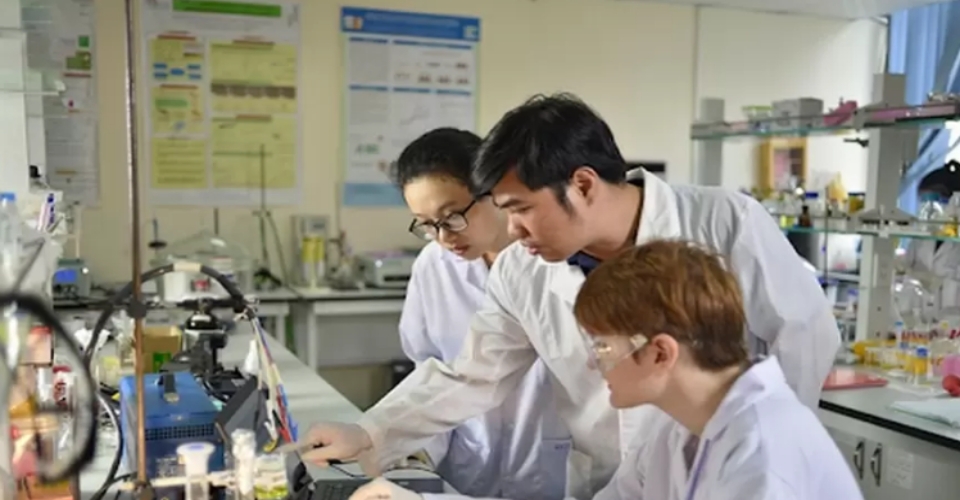 Công việc phù hợp với cung Bảo Bình nữ