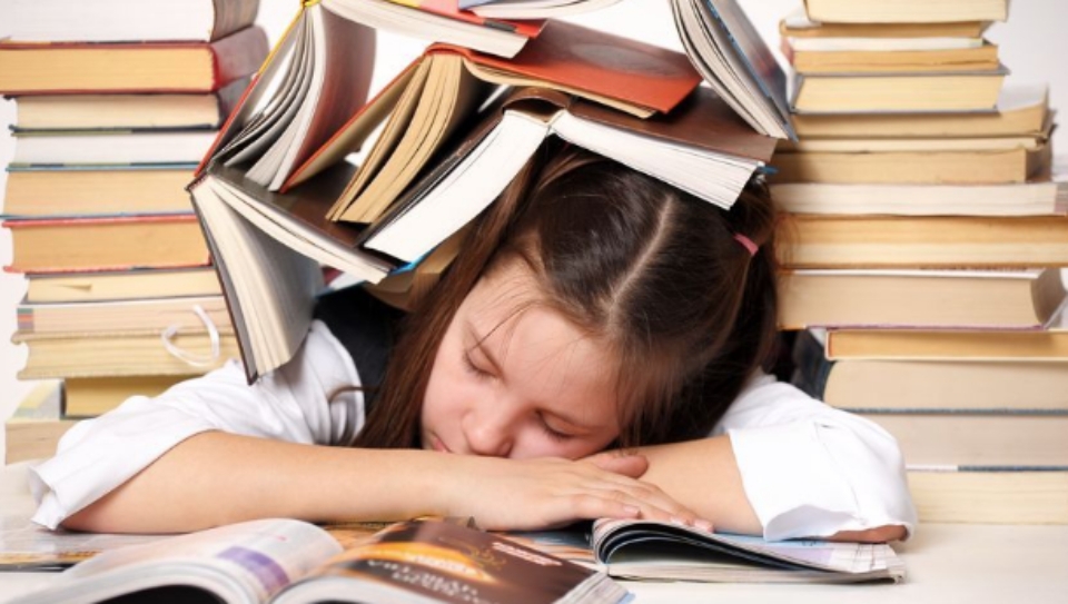 Học lực của các nàng Nhân Mã