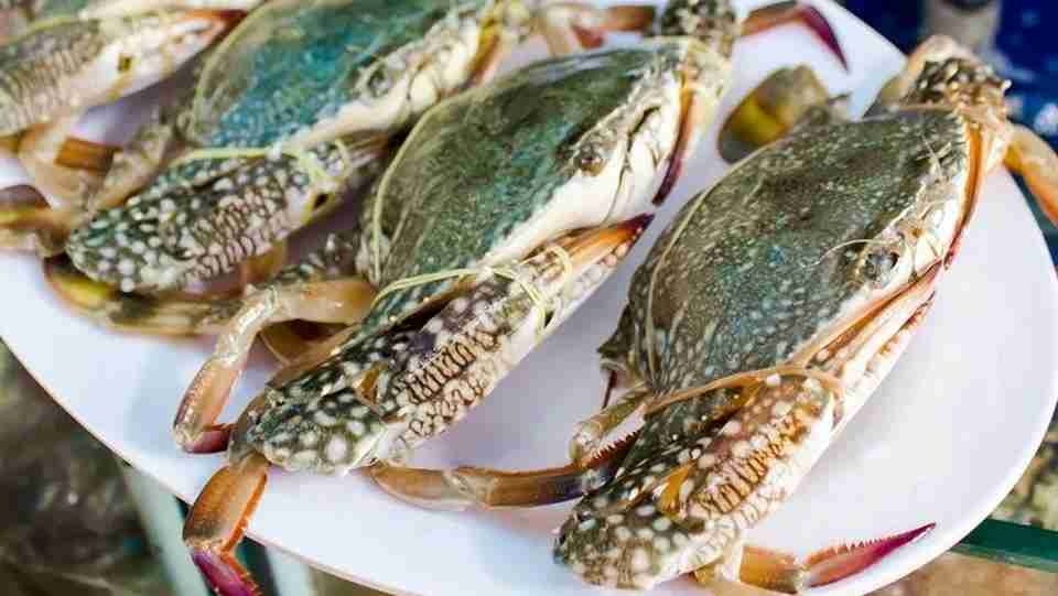 cách nấu bánh canh ghẹ - ảnh 9