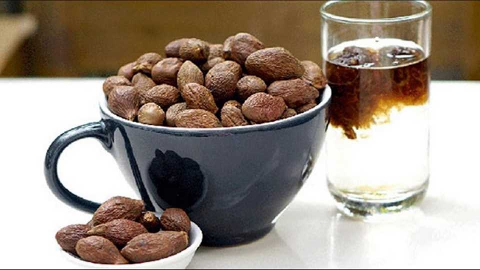 Hạt đười ươi là gì?