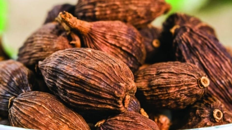 Cách chọn thảo quả