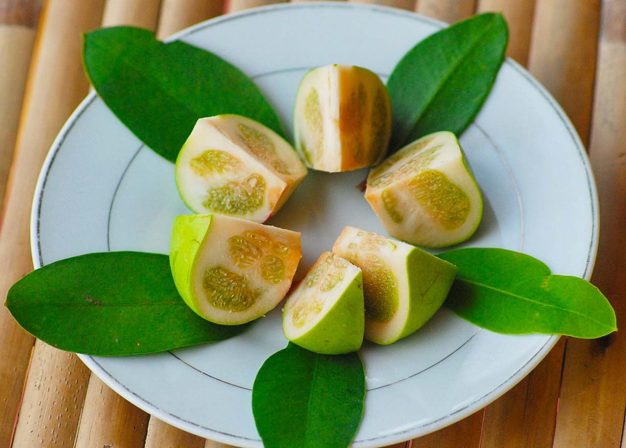 Trái bần chua to tròn, căng mọng, ăn rất giòn và thơm