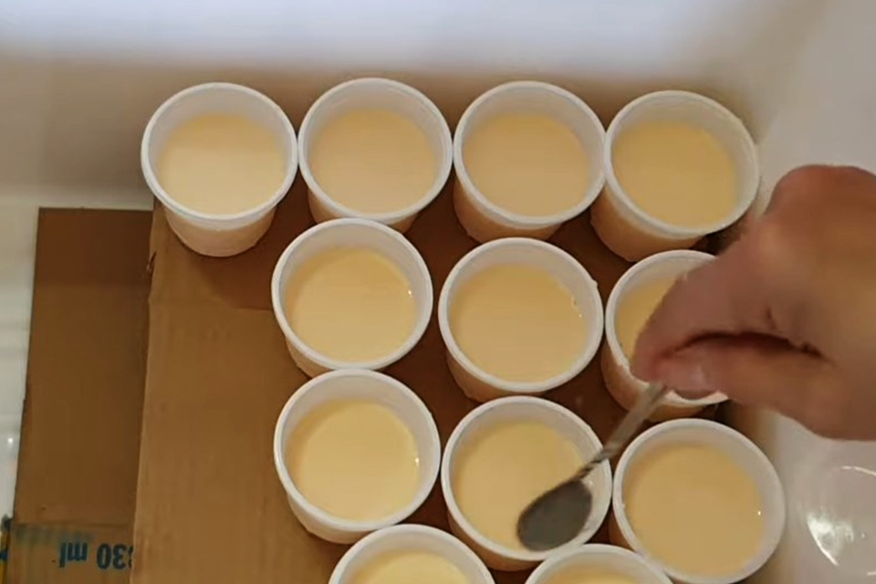 Ủ sữa chua phô mai vàng