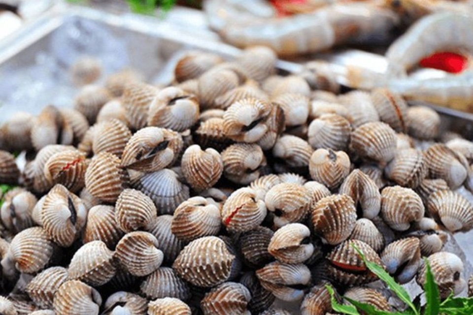 cách làm sò huyết cháy tỏi 2