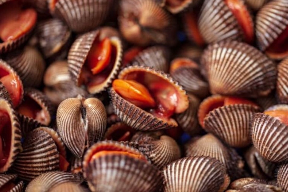 cách làm sò huyết cháy tỏi 7