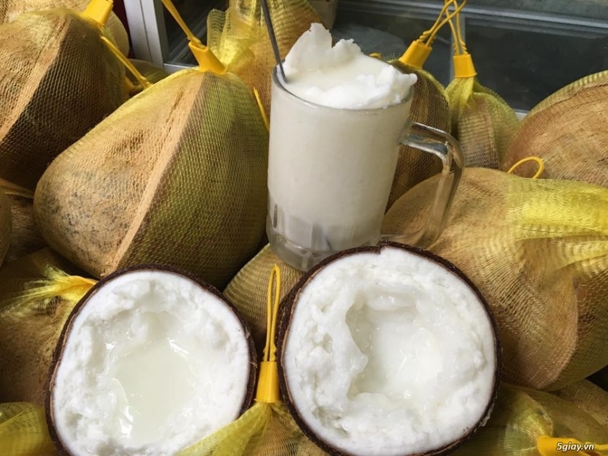 dừa sáp - hình 3