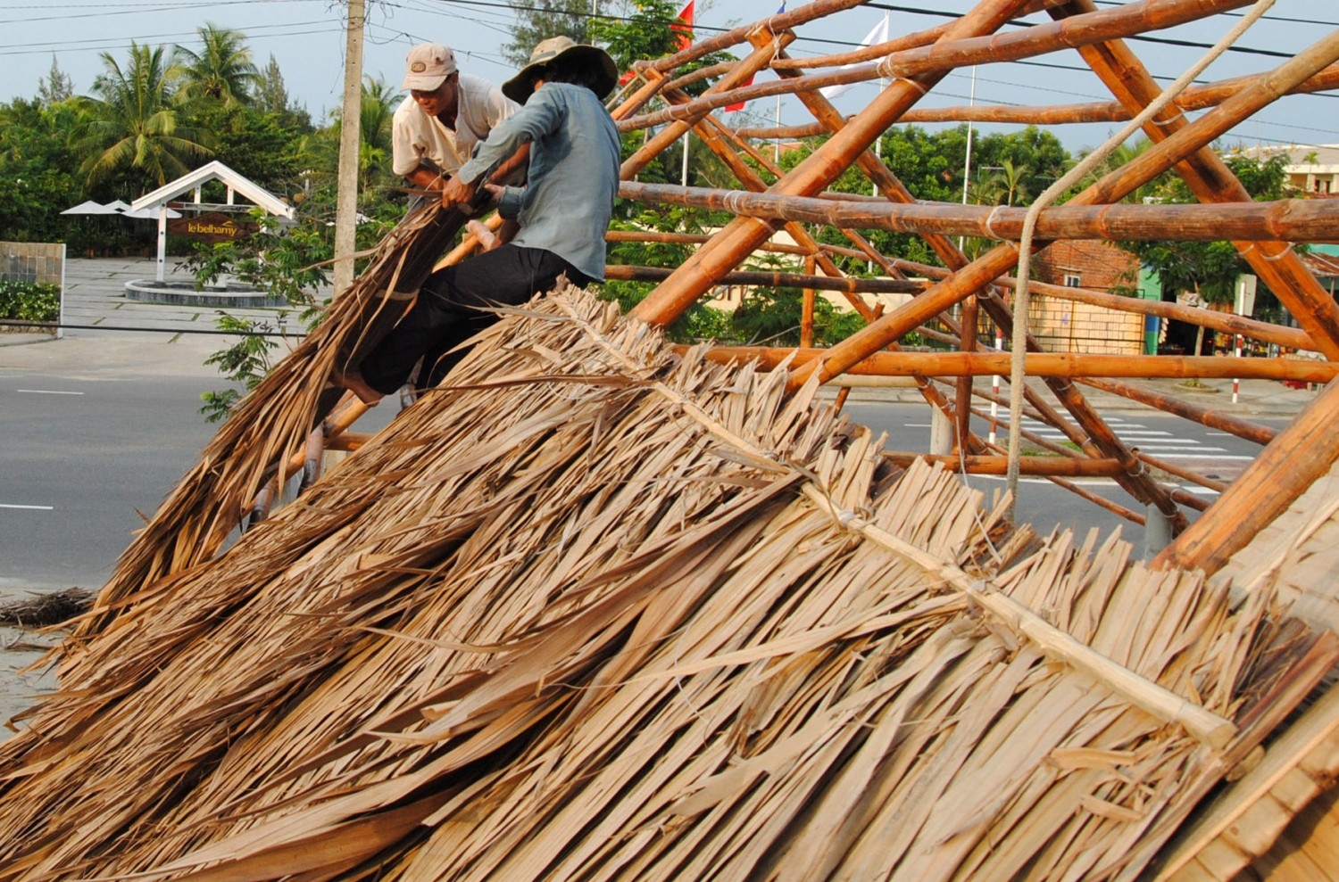 Sử dụng lá dừa nước để lợp nhà 