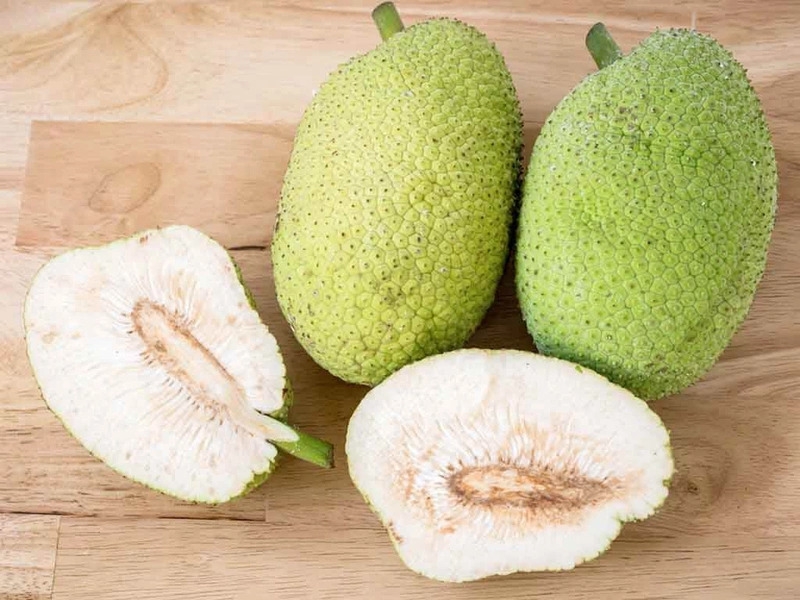 Quả sake có thể cung cấp năng lượng cho các hoạt động của cơ thể