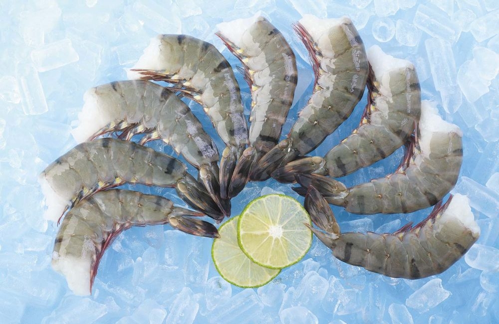 Giá trị dinh dưỡng của tôm sú