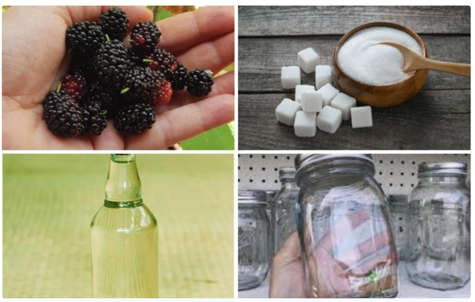 Ngâm rượu dâu tằm cực đơn giản, thơm ngon, bổ dưỡng tại nhà 1