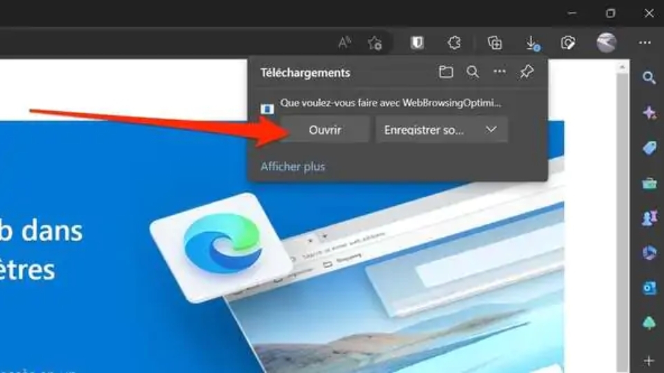 tệp tin WebBrowsingOptimizer