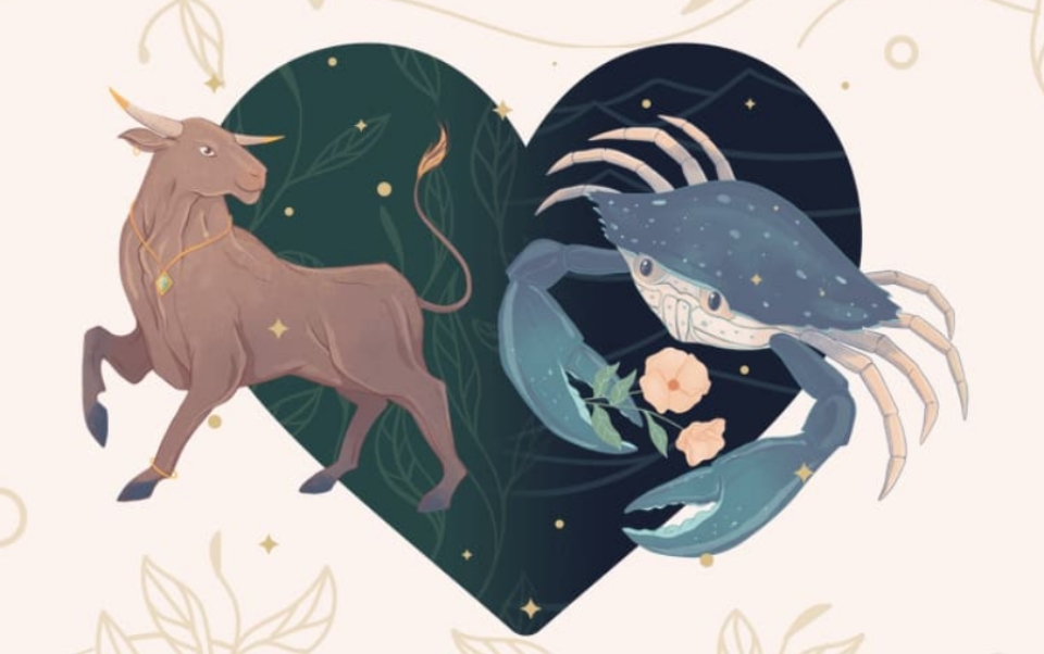 Cự Giải nam khá phù hợp với Kim Ngưu