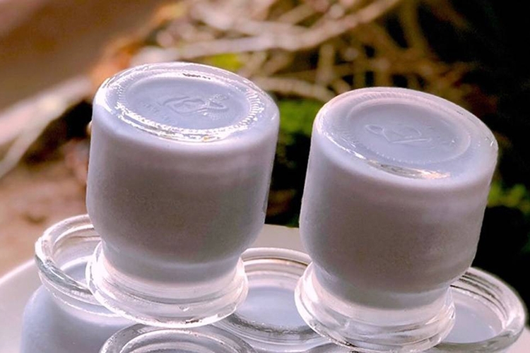 Cách làm sữa chua nha đam mát lạnh (hình 12)