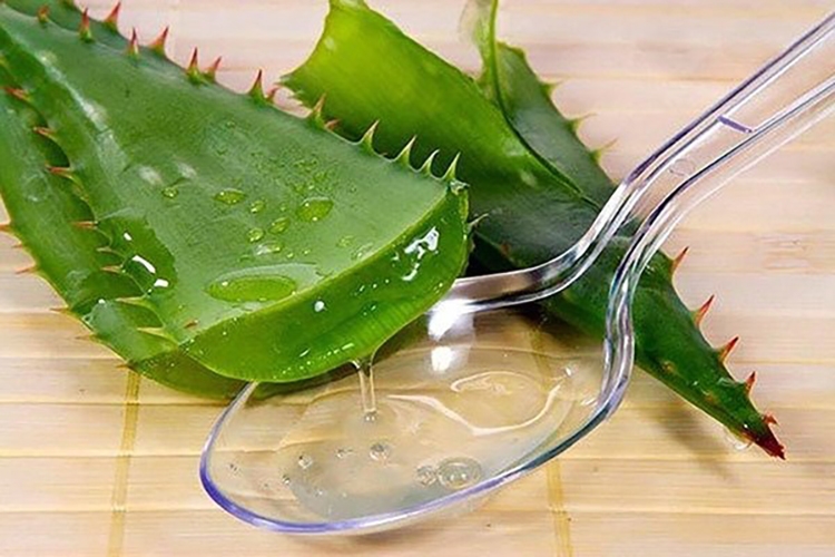 Cách làm sữa chua nha đam mát lạnh (hình 13)
