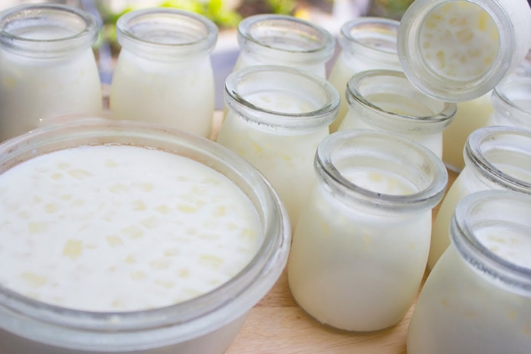 Cách làm sữa chua nha đam mát lạnh (hình 6)