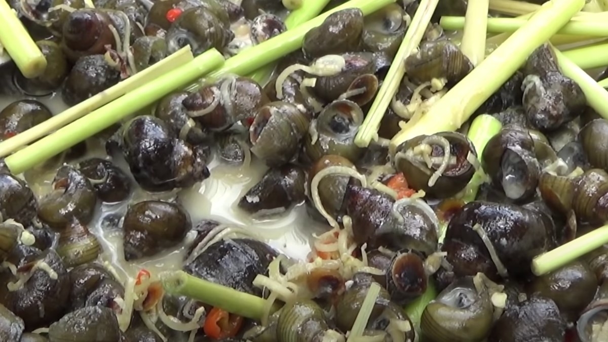 Ốc gạo xào dừa có vị dai ngọt và béo nhẹ, tỏa mùi thơm hấp dẫn