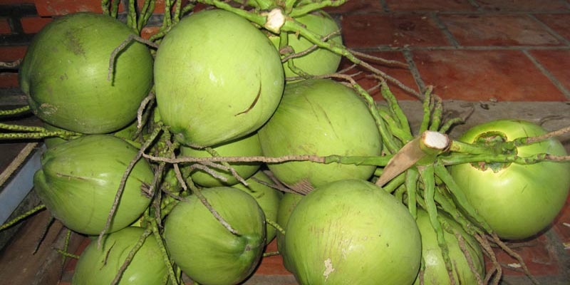 Nấu lòng heo khìa nước dừa thơm béo, đậm vị và siêu ngon tại nhà 2