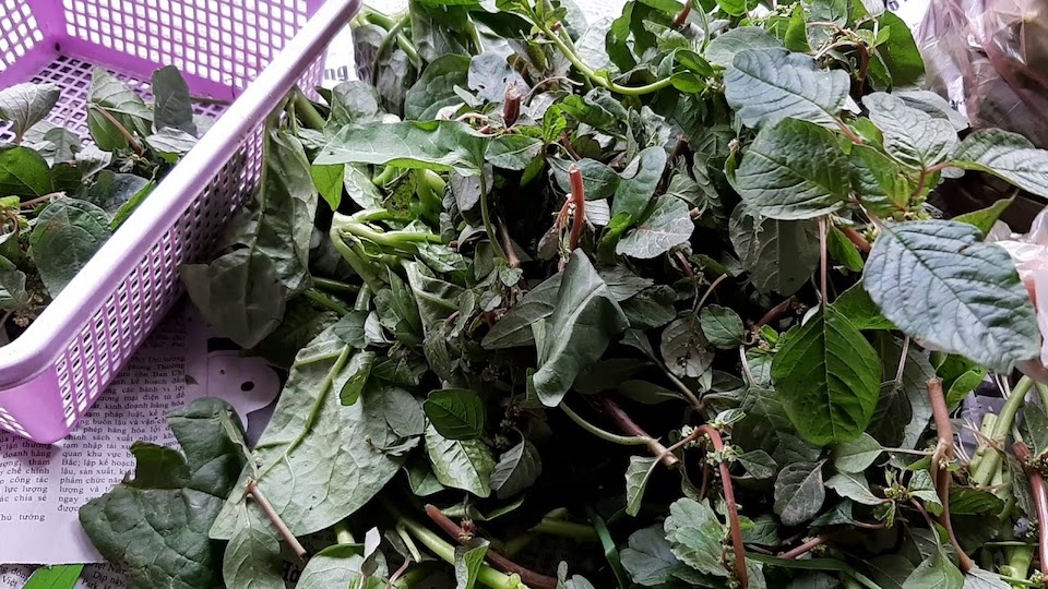 cách nhặt rau dền - hình3