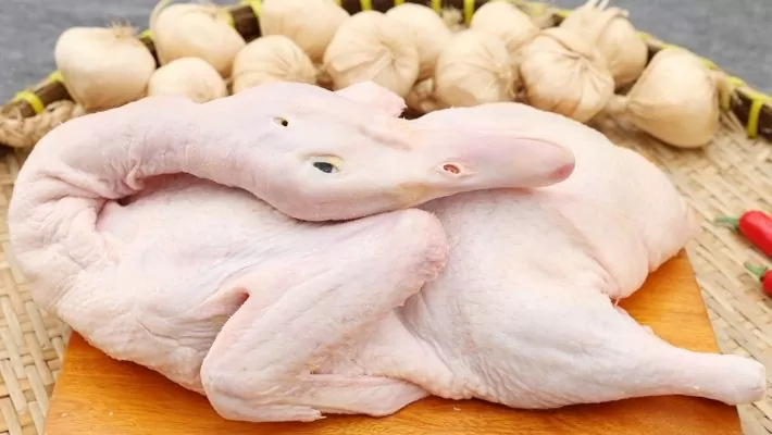  Vịt tươi ngon đủ tuổi trưởng thành và thịt phải chắc dày