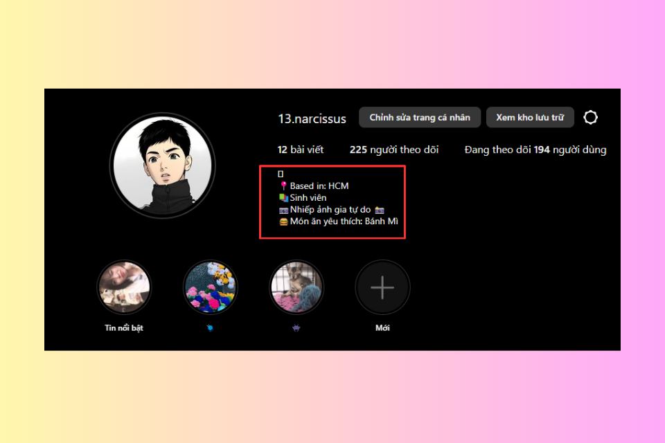 bio trên instagram là gì (ảnh 2)