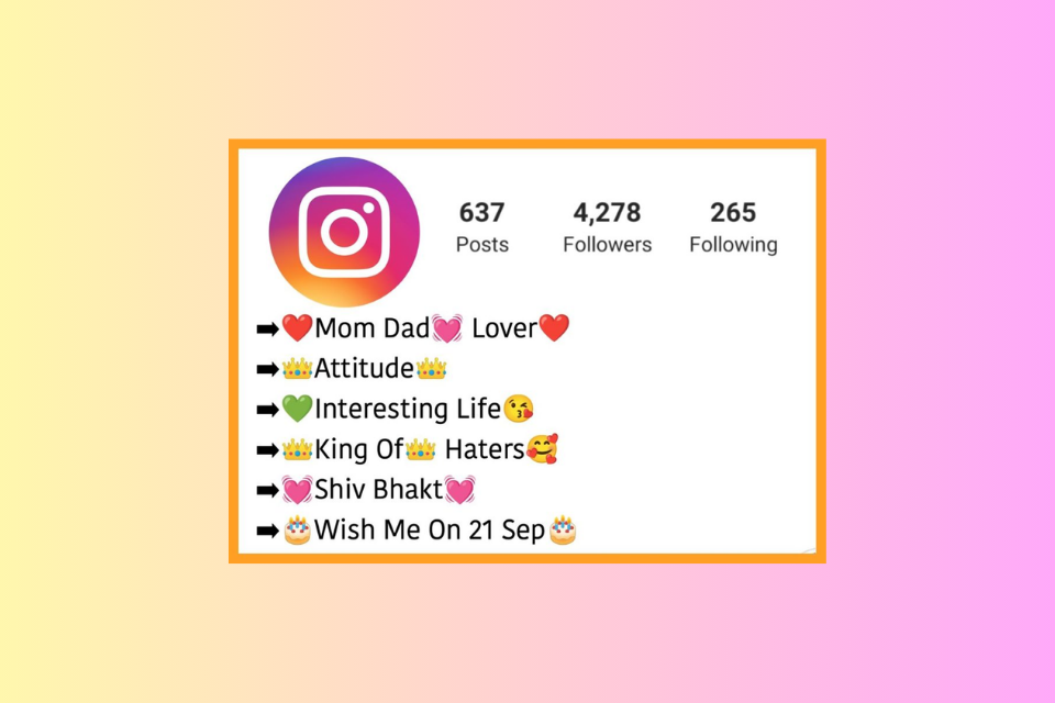 bio trên instagram là gì (ảnh 5)