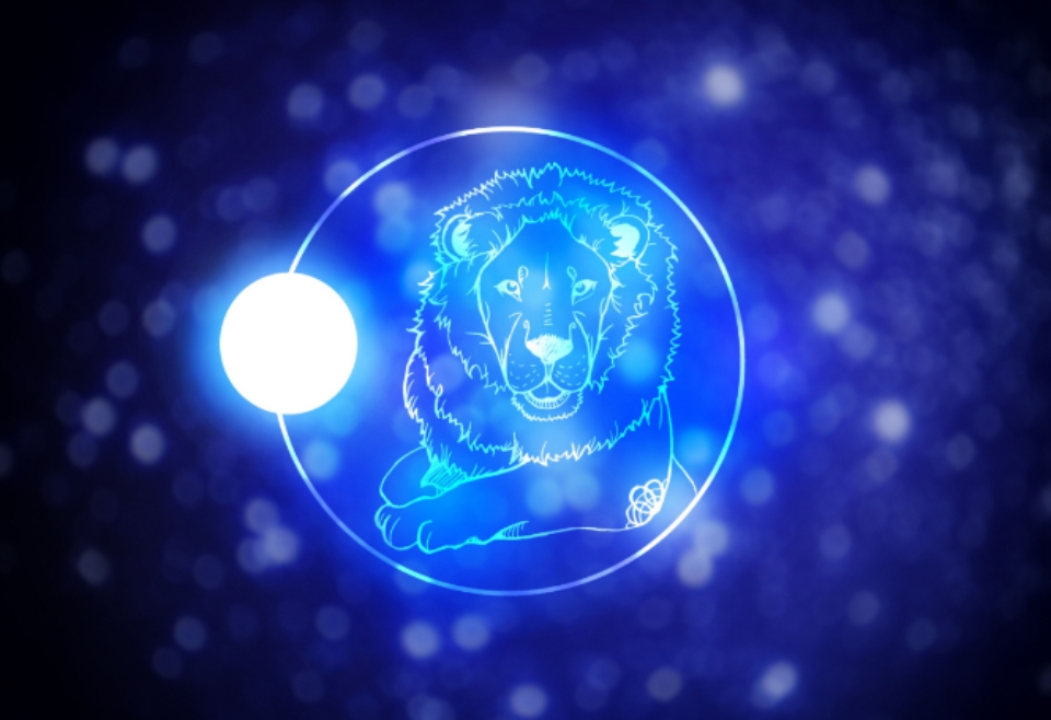 Cá tính, năng động là tính cách của sư tử